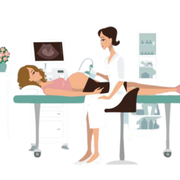 gynecologist/Obstetricians,